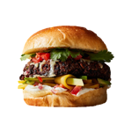 Vegetable Burger 